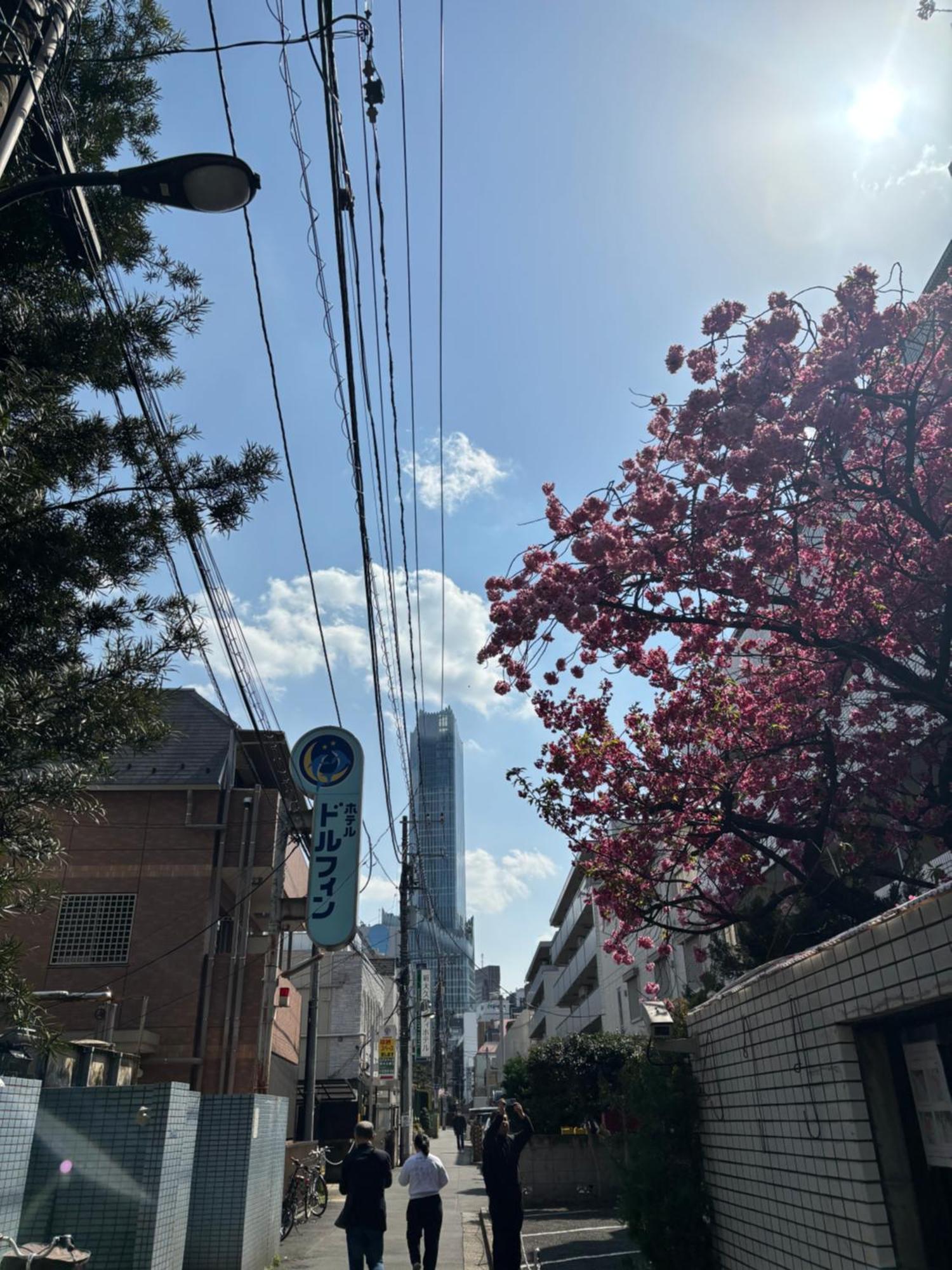 City Hotel Dolphin 도쿄 외부 사진